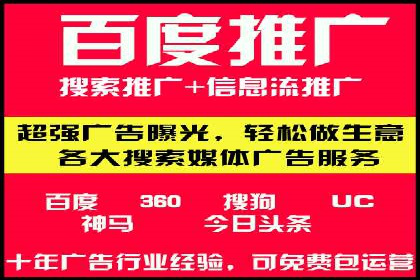 竞价广告案例分享：XX电商平台的成功秘诀